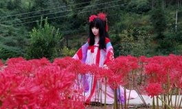 【视频】彼岸花——古风|萝莉们的超萌cos