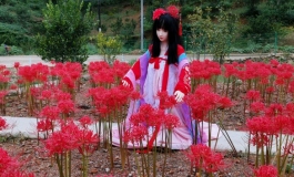 【视频】彼岸花——古风|萝莉们的超萌cos