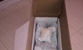 168娃娃屋小娃80cm栞开箱