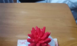 准备再买一个娃，三选一，有没有大佬来暗示一下买哪个