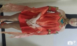 星之守护者阿狸（小倩）  SM 本日内连更