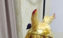 星之守护者阿狸（小倩）  绳艺贴23点已全部更完。