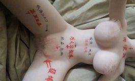 请问一下，我这种在吧里属于哪种流派