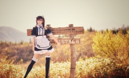 A traveling maid