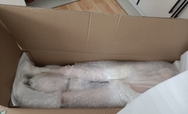 新入门的开箱照，无修图