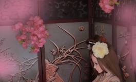 大唐双娇~今日主演是雪奈~