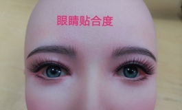 先纳信Sino-doll与Top-sino的神差距