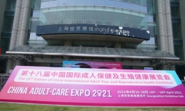 （转）2021年API ×ADC上海ChengRen展圆满落幕，实ti娃娃成吸睛...