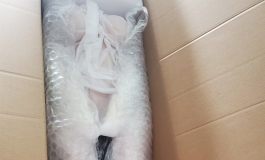 首次买娃-春水堂娃娃妮妮160F开箱图+视频