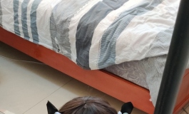 死库水小倩（第二期）~不会有人以为绑个龟甲缚就算结束吧