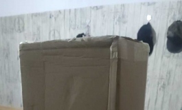 小倩170已到，顺丰快递就是快