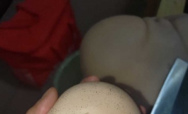 大型分尸现场！心爱的娃娃再见了