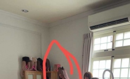 哪位大佬知道是那个娃？图是叁卉群的