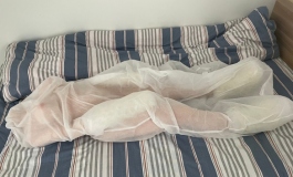 入手一周，新人测评春水堂160D夏雨。