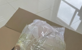 入手一周，新人测评春水堂160D夏雨。