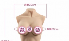 我这个半身娃娃抽插的时候感觉不怎么爽