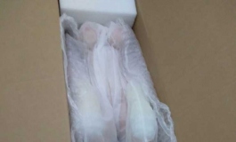 开箱春水堂 168f夏雨 测评