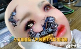 机械蝶的二次改妆/局部修妆