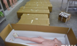 爱莎贝儿娃娃生产周期公告暨道歉启事