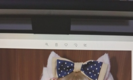 热爱105°的你~小白绝美返图