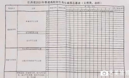你从未见过如此逼真的少女