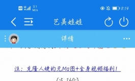 付费附件失效