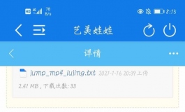 付费附件失效