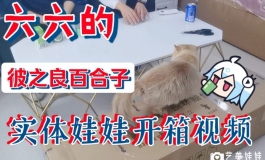 【彼之良百合子130厘米实体娃娃开箱】