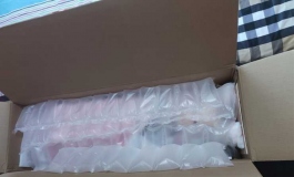 俊影125小萌，铂金tpe版本到货开箱