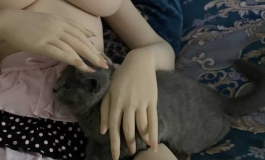 萌萌和小猫猫～