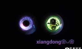 实体娃娃/狂三蓝化电感时钟树脂眼