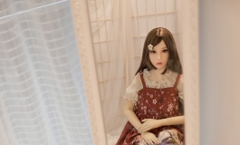 Doll 今天也是想做人的一天