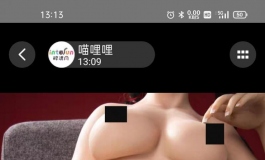 各位有没有听过爱之美娃娃