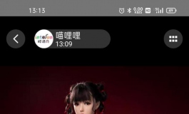 各位有没有听过爱之美娃娃