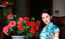 你好，我是戈戈虎的新管家。
