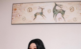 汉歌公司深色皮肤的娃娃，酒店写真