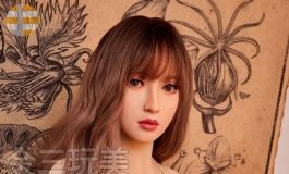 金三/异域风情系小姐姐-续集~
