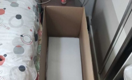 145e小樱桃昨天来了，给大家康康