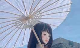 植梦科技小雪