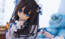 bjd