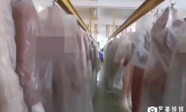 实体娃娃的生产流水线