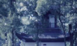 艺美娃友中秋佳节快乐