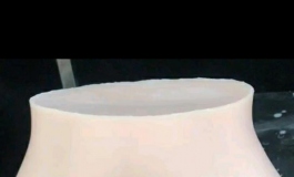 打算入手一个先纳信家的硅胶下半身