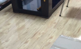 小倩啊，差点让我闪断了腰