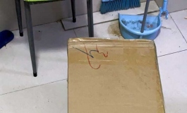 娃友开箱