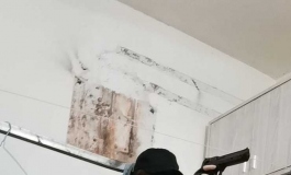 潮影娃娃求赞