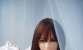 穿着蓝格女佣服的雪奈向你走来了