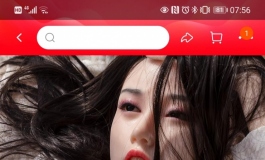 有大佬知道这俩娃头雕是哪个厂么？