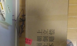 俊影157小玉开箱