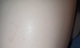 美造人娃娃使用一个月后浅评